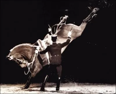 Quand le cheval lve les postrieurs, que fait-il ?