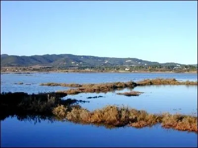 Les Salins-d'Hyres appartiennent /au...