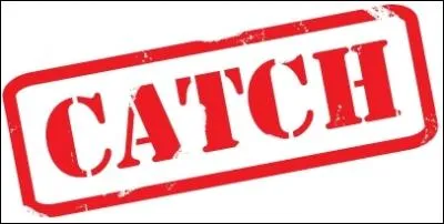 Quand a-t-il commenc le catch ( en tant que pro ) ?