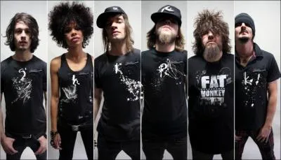 De quel groupe font-ils partie ?