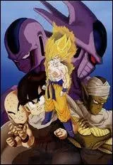 Quel est le titre de ce film ?