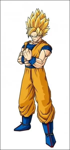 Combien de formes peut prendre un Saiyanjin ?