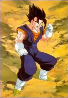 Comment s'appelle la premire fusion de Sangoku et Vegeta qui aurait d rester dfinitive ?