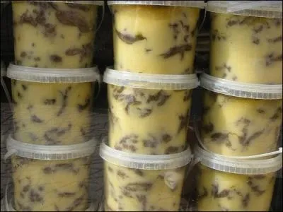 Quel est ce plat constitu de viande sche confite dans du beurre, de graisse et de condiments ?