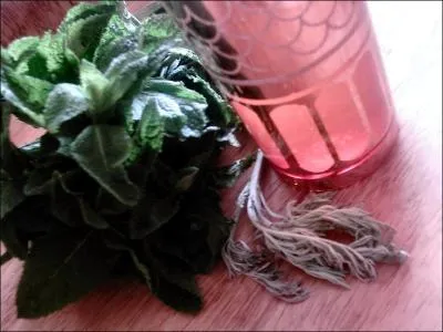 Le th  la menthe est la boisson marocaine la plus connue au monde. Pourtant il y a d'innombrables autres varits ( l'absinthe, au thym, aux clous de girofle. . ), le th au safran tant l'une d'elles :