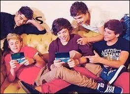 Niall est trs proche d'un des membres des One Direction , de qui ?