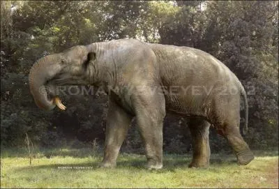 Le dinothrium est le troisime plus gros mammifre terrestre (avec 4, 5 m de haut). C'tait un animal agressif, trs dangereux pour nos lointains anctres. O en trouvait-on ?