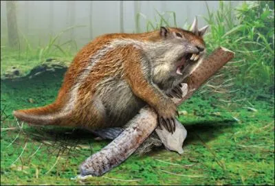 Quel est le nom de ce rongeur  cornes ?