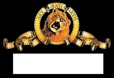 De quelle marque provient ce logo ?