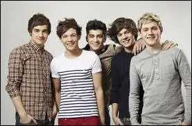 Quel est le nom du premier album des One Direction ?