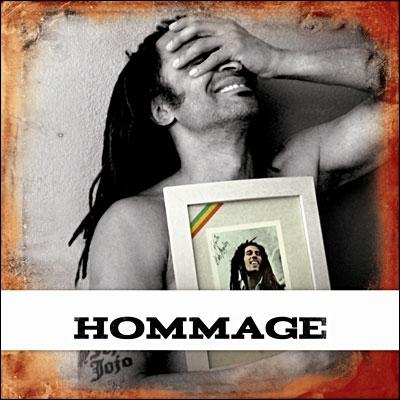 Quel clbre chanteur interprte l'album de reprises  Hommage  ?