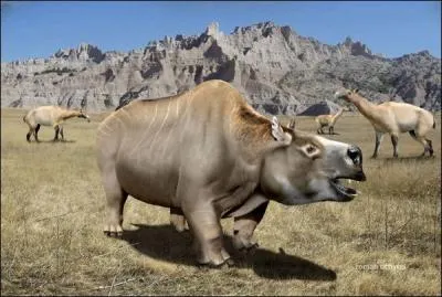 Le toxodon (qui signifie  dents en forme de flche ) appartient au groupe des notonguls qui a donn naissance aux rhinocros, chevaux, moutons, rats, lapins, . . O vivait-il ?