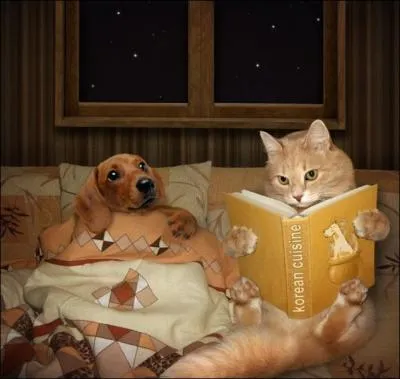 Quels animaux ont une phase de  Sommeil paradoxal  ?