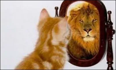 Imbu : de quel verbe inusité vient ce participe passé seul survivant ?