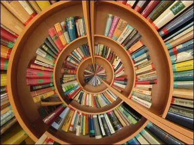 Il est épris, passionné de romans. Quel participe passé synonyme pouvez-vous utiliser ?