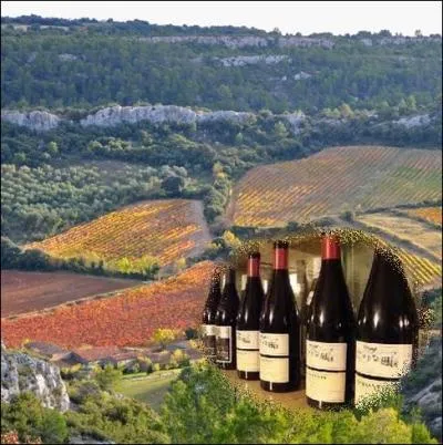 Le Saint Chinian, est un vin A. O. C. produit par les vignobles considrs comme les plus anciens de France aprs la Provence . C'est un vin de quelle rgion ?