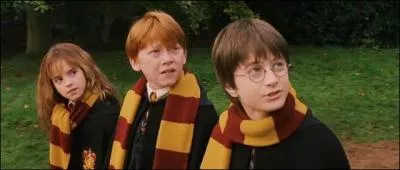 Qui sont les amis d'Hermione ?