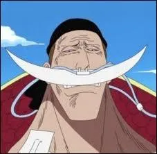 Qui est ce personnage ?