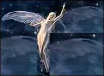 Cette femme reprsente quelle firme ?