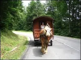 ''Qu'il est long, qu'il est loin, ton chemin, papa / C'est vraiment fatigant d'aller où tu vas / Qu'il est long, qu'il est loin, ton chemin, papa / Tu devrais t'arrêter dans ce coin''