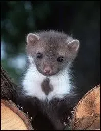 ''Le temps va, tout s'en va, pas l'amour que j'ai pour toi / Papa, juste un mot j'irai là-bas / Là-bas, pour toi / Papa, le temps va, tout s'en va, pas l'amour que j'ai pour toi''