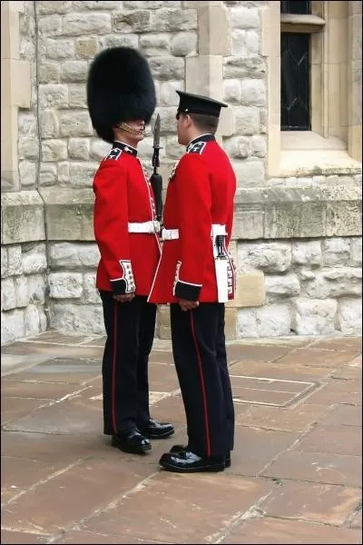 Le bonnet des gardes anglais est en poils ... . .