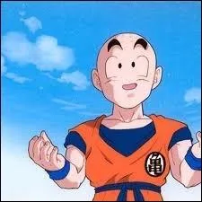 Qui a tu Krilin la 1er fois ?