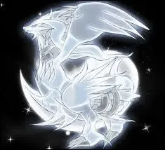 Quel est le poids de Reshiram ?