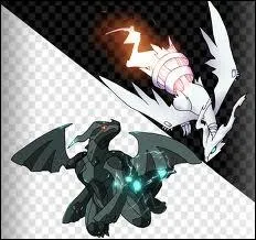 Comment s'appellent Zekrom et Reshiram en anglais ?