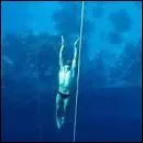 Comment s'appelle le lest utilis en plonge en apne ?