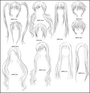 De quel manga viennent ces perruques ?