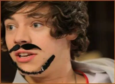 Pour quelle candidate Harry craquait-il pendant  X Factor  ?