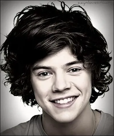 Comment s'appelait la copine de Harry ?