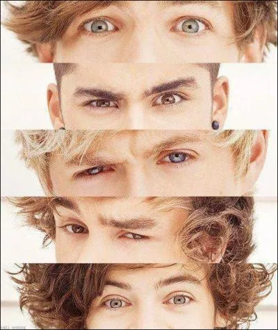 Dans le groupe qui est Irlandais ?