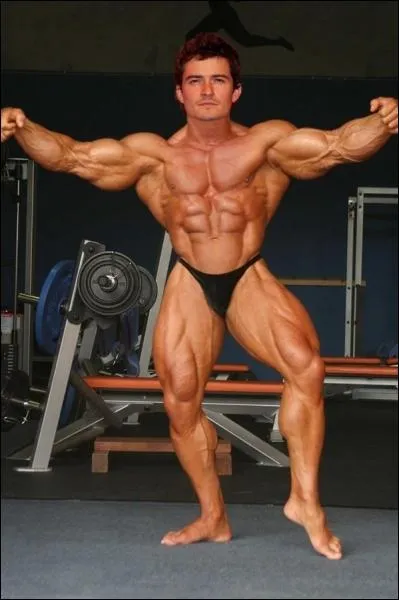 Lgolas dans le seigneur des anneaux.