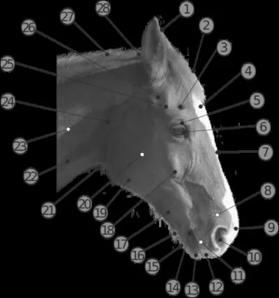 Comment s'appelle la partie n26 ?