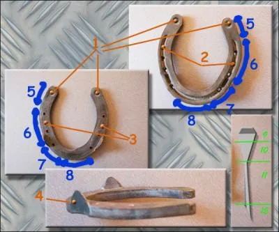 Comment s'appelle la partie n2 ?