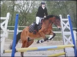 Ce cheval est en pleine...