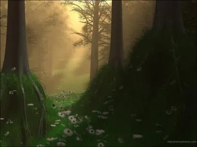 Comment pourrait-on surnommer cette image ?