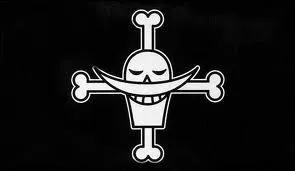 A qui ce drapeau appartient-il ?