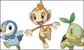 Quels sont les noms de ces Pokmon de base ?