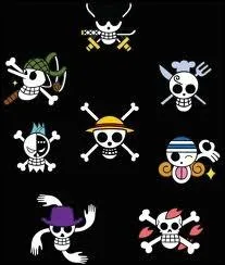 Qui n'a pas de drapeau sur l'image ?