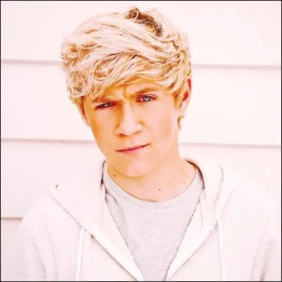 Sur leur album (Up all night), quelle est la chanson prfre de Niall ?