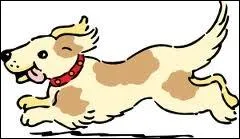 Quels sont les chiens les plus rapides ?