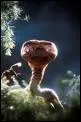 Les Extraterrestres Clbres. L'un des plus connus, merci Spielberg.
