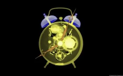 A l'intrieur de ce rveil, nous observons...