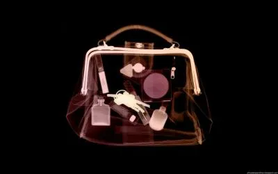 Toutes les filles en ont un, c'est un ...