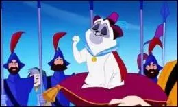 Comment s'appelle son chien ?