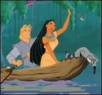 Quelle ressources les colons recherchent-ils ?