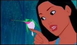 Comment s'appelle le colibri ?